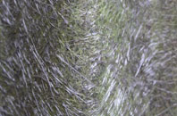 Snodland fibreglass roof work